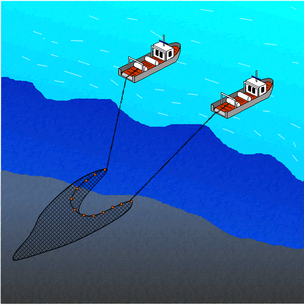 ２そうびき漁法操業概念図