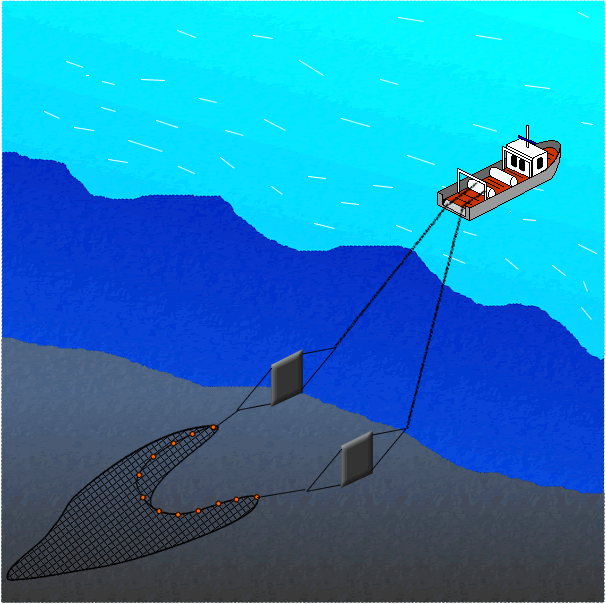 トロール漁法操業概念図